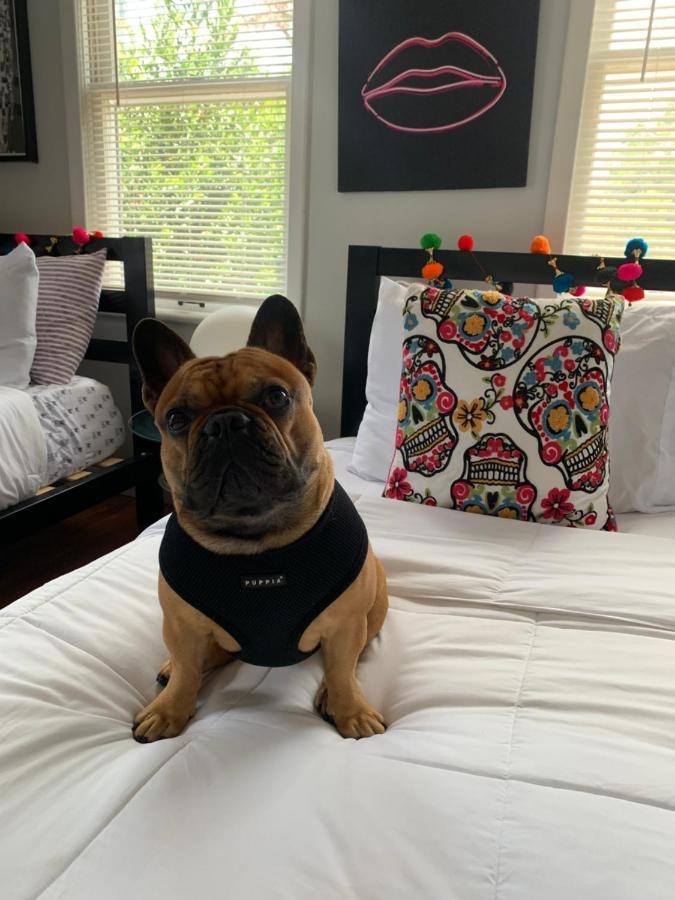 Vibing In The Heights/Breweries/Food/Petfriendly Βίλα Τάμπα Εξωτερικό φωτογραφία